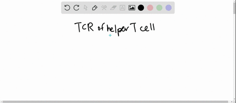 to-what-does-the-tcr-of-a-helper-t-cell-bind-a-antigens-presented-with-mhc-i-molecules-b-antigens-pr