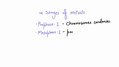 diagram-the-events-of-meiosis-at-which-stage-do-homologous-chromosomes-separate