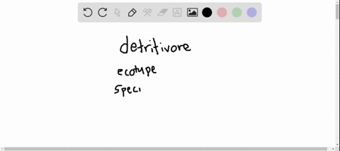 all-the-organisms-living-in-one-area-are-known-as-an-a-community-b-population-c-species-d-ecotype-e-
