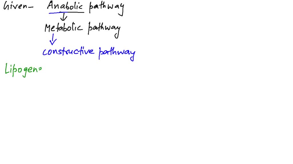 SOLVED:Name the anabolic pathway that synthesizes fatty acids.