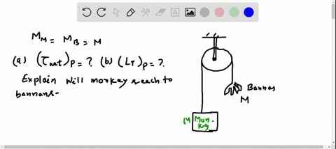 a-light-rope-passes-over-a-light-frictionless-pulley-one-end-is-fastened-to-a-bunch-of-bananas-of-4