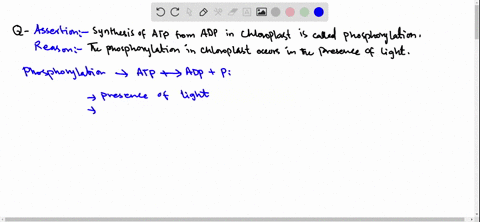 assertion-synthesis-of-atp-from-adp-in-chloroplast-is-called-photophosphorylation-reason-this-phosph
