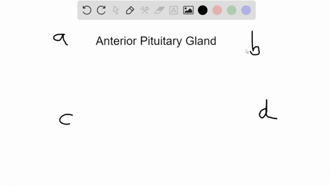 hormones-secreted-by-the-anterior-pituitary-gland-control-the-activity-of-all-of-the-following-gland