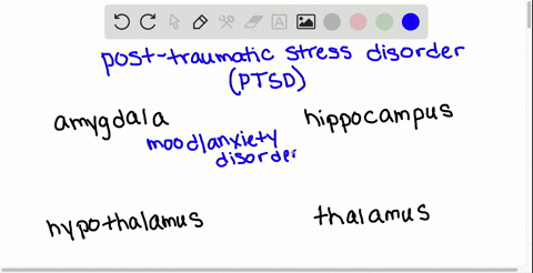 individuals-suffering-from-posttraumatic-stress-disorder-have-been-shown-to-have-reduced______-a-amy
