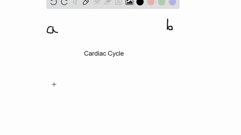 ventricular-relaxation-immediately-follows-_______-a-atrial-depolarization-b-ventricular-repolarizat