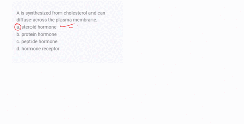 a-is-synthesized-from-cholesterol-and-can-diffuse-across-the-plasma-membrane-a-steroid-hormone-b-pro