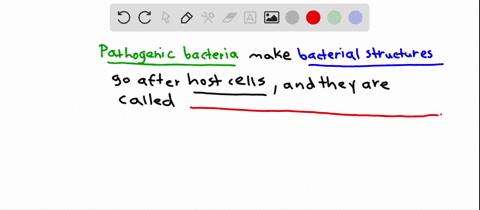 bacterial-structures-that-are-produced-by-pathogenic-bacteria-for-use-in-attacking-host-cells-includ