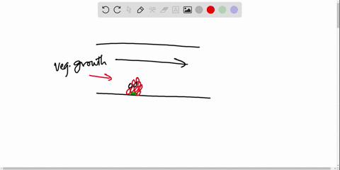 what-are-vegetations-of-endocarditis-called-when-released-into-the-blood-a-stroke-b-emboli-c-ischemi