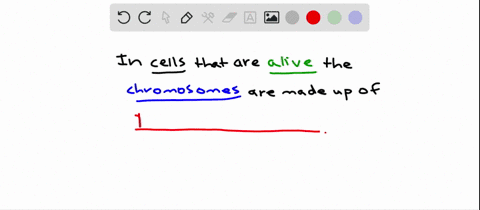 in-living-cells-chromosomes-consist-of-a-dna-and-rna-b-dna-only-c-rna-and-proteins-d-dna-and-protein