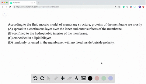 according-to-the-fluid-mosaic-model-of-membrane-structure-proteins-of-the-membrane-are-mostly-begine