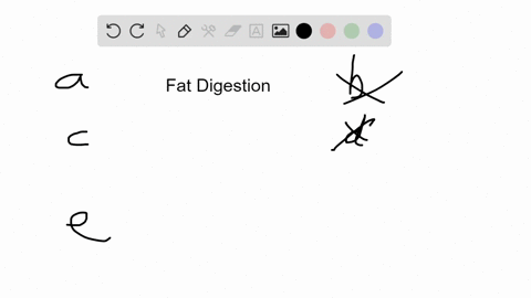 SOLVED:A specialized region of the digestive tract is/are the: a ...