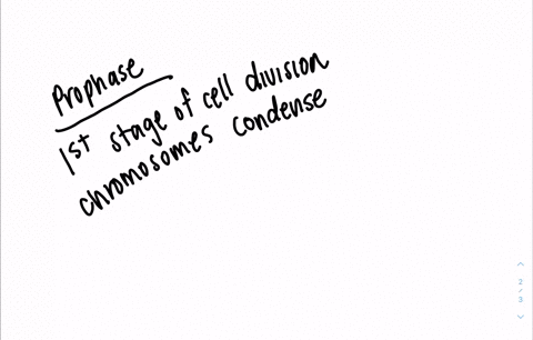 sketch-a-mitotic-prophase-chromosome-and-label-sister-chromatids-sister-centromeres-and-sister-kin-2