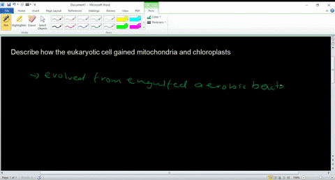 complete-the-following-questions-describe-how-the-eukaryotic-cell-gained-mitochondria-and-chloroplas