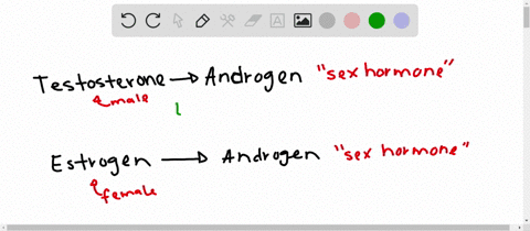 testosterone-is-to-the-male-as-which-hormone-is-to-the-female-a-luteinizing-hormone-b-progesterone-c