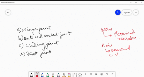 articulation-of-the-atlas-with-the-axis-is-an-example-of-a-hinge-joint-b-ball-and-socket-joint-c-gli