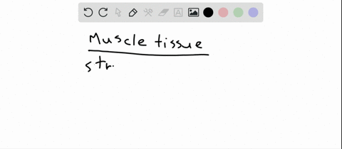 in-an-examination-of-a-sample-of-muscle-tissue-you-notice-that-the-sample-consists-of-striated-cel-2