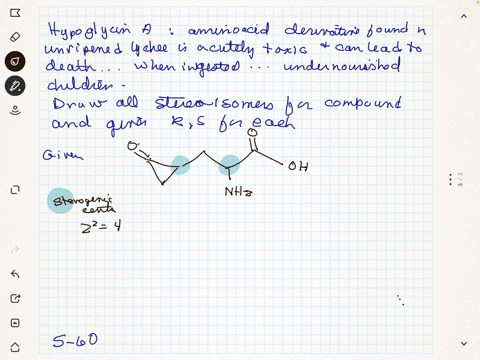 hypoglycin-a-an-amino-acid-derivative-found-in-unripened-lychee-is-a-compound-that-is-acutely-toxic-