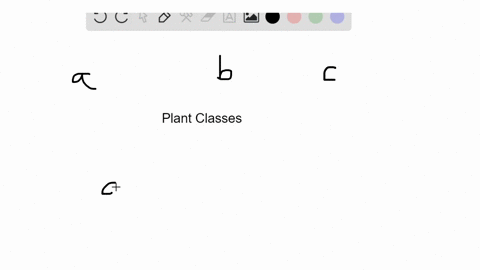 identify-the-plant-that-fits-the-description-use-each-answer-only-once-a-bryophytes-b-lycophytes-c-4