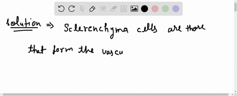 which-of-these-cells-in-a-plant-is-apt-to-be-nonliving-a-parenchyma-b-collenchyma-c-sclerenchyma-d-e