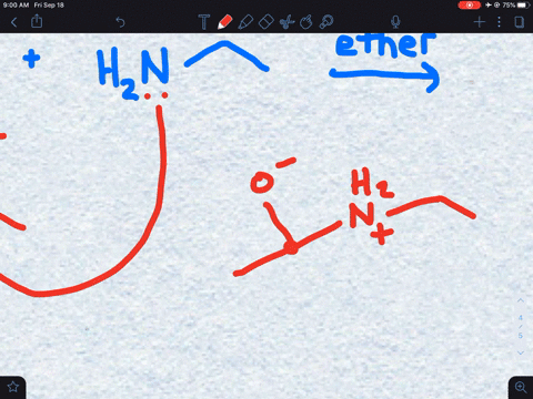 what-is-the-product-of-the-reaction-below-a-b-c-d-5