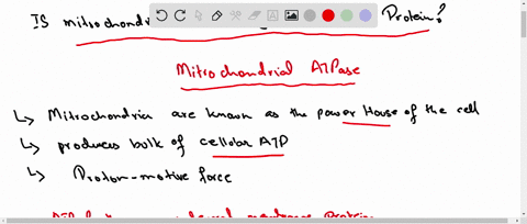 is-mitochondrial-atpase-an-integral-membrane-protein-explain-your-answer-2