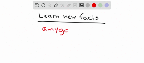 learning-new-facts-involves-the-______________-a-cerebellum-b-amygdala-c-primary-motor-cortex-d-brai
