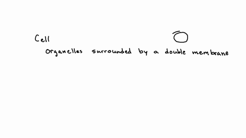 recall-which-organelles-are-surrounded-by-a-double-membrane