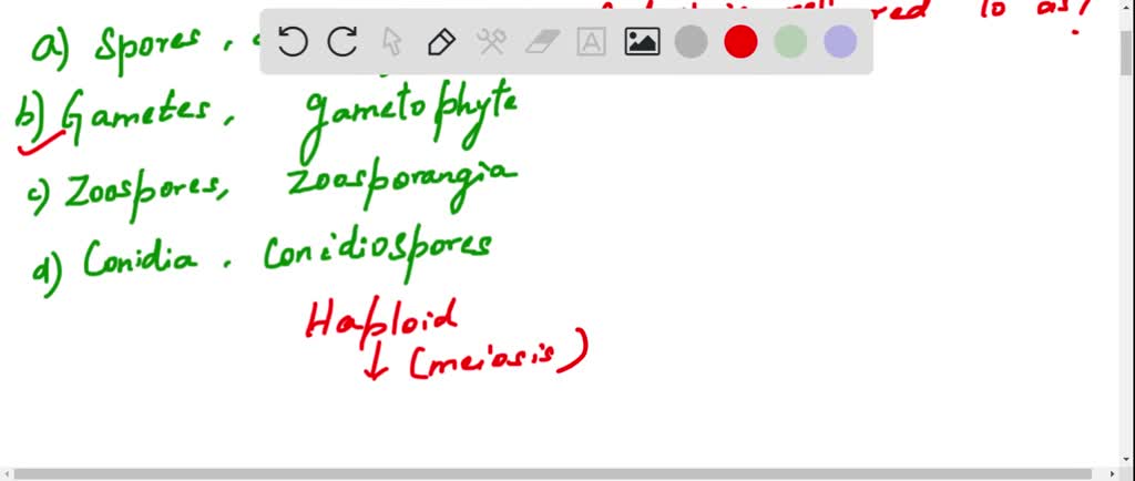 solved-organism-what-parts-are-what-parts-vascular-structure