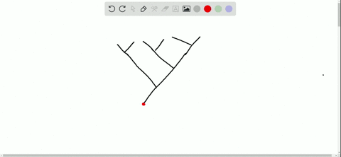 where-in-a-phylogenetic-tree-would-you-expect-to-find-the-organism-that-had-evolved-most-recently--2