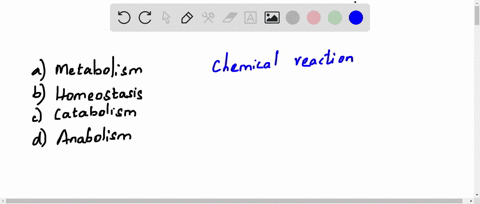 the-sum-total-of-chemical-reactions-occurring-in-our-body-is-called-a-metabolism-b-homeostasis-c-cat