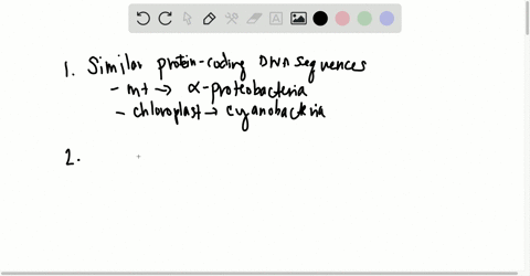what-evidence-supports-the-endosymbiotic-theory-2