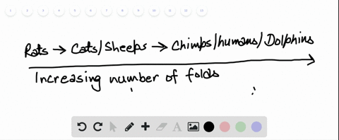 if-an-increased-number-of-folds-in-the-cortical-sheets-of-the-brain-is-associated-with-increased-soc