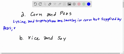 explain-why-each-of-the-following-pairs-are-complementary-proteins-a-corn-and-peas-b-rice-and-soy