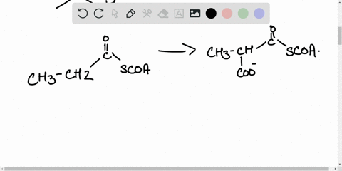 most-fatty-acids-have-an-even-number-of-carbons-and-therefore-are-completely-metabolized-to-acetyl-2