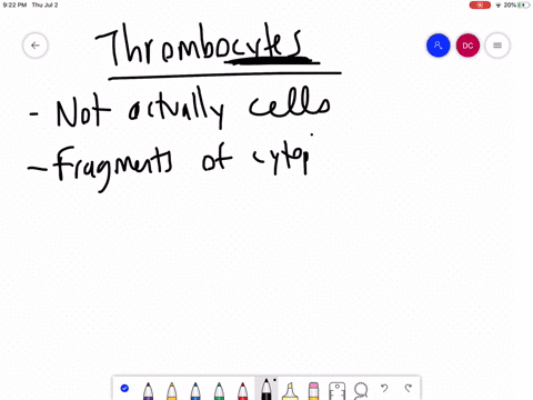 thrombocytes-are-more-accurately-called-__________-a-clotting-factors-b-megakaryoblasts-c-megakaryoc