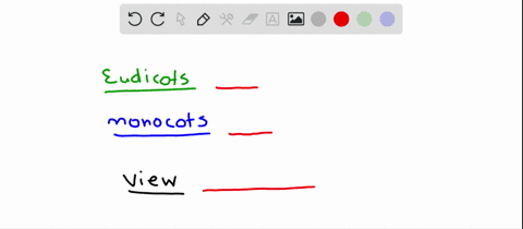 which-of-the-two-distribution-patterns-for-vascular-tissues-above-is-common-among-eudicots-which-is-