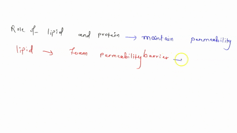 what-are-the-roles-of-lipids-and-proteins-in-maintaining-the-selective-permeability-of-membranes