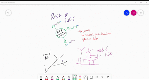 which-phylogenetic-model-proposes-that-all-three-domains-of-life-evolved-from-a-pool-of-primitive-pr