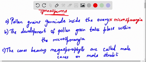 in-gymnosperms-a-pollen-grains-germinate-inside-the-ovary-b-the-development-of-pollen-grain-takes-pl