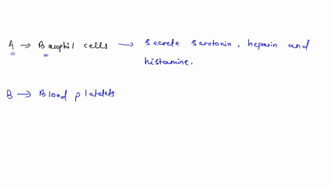 identify-the-following-type-of-blood-celis-and-mark-the-correct-option-a-monocyte-eosinophil-neutcop
