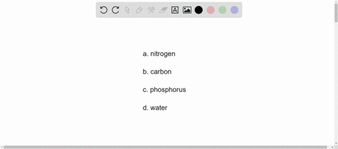which-biogeochemical-cycle-does-not-include-exchange-with-the-atmosphere-a-nitrogen-b-carbon-c-phosp