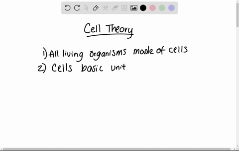 the-cell-theory-states-that-a-cells-are-small-b-cells-are-highly-organized-c-there-is-only-one-basic