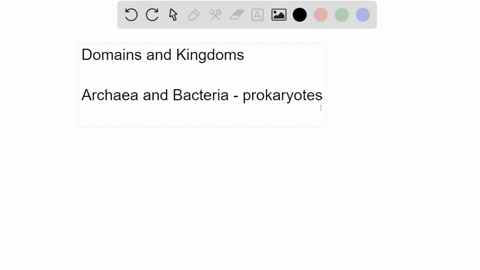 select-the-correct-terms-the-domains-archaea-and-bacteria-are-referred-to-as-prokaryotes-eukaryotes-