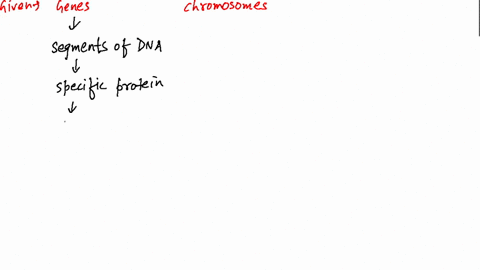 SOLVED:What is the difference between chromosome walking and chromosome  jumping? Why must chromosome jumps,