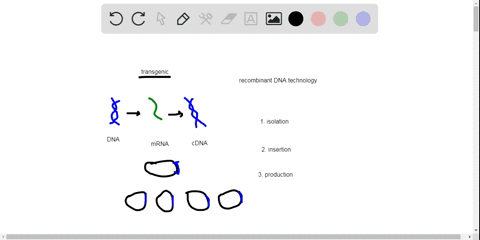 what-techniques-might-researchers-use-to-produce-transgenic-bacteria-that-make-human-growth-hormone-