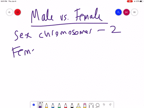a-female-child-inherits-one-mathrmx-chromosome-from-her-mother-and-one-from-her-father-what-sex-chro