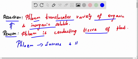 assertion-phloem-translocates-variety-of-organic-and-inorganic-soluble-reason-phloem-is-conducting-t