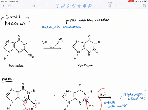 one-of-the-steps-in-the-metabolic-degradation-of-guanine-is-hydrolysis-to-give-xanthine-propose-a-me