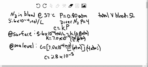 the-solubility-of-mathrmn_2-in-blood-at-37circ-mathrmc-and-at-a-partial-pressure-of-080-atm-is-56-ti