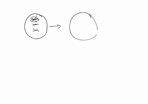 sketch-a-cell-with-three-pairs-of-chromosomes-undergoing-meiosis-and-show-how-nondisjunction-can-res